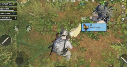 ���������̼�ս������ץ�� ���������̼�ս����ɶ�ط�ץ��