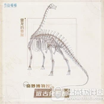 �漣ůů�����ݻ Զ�Ż�ʯչ������3