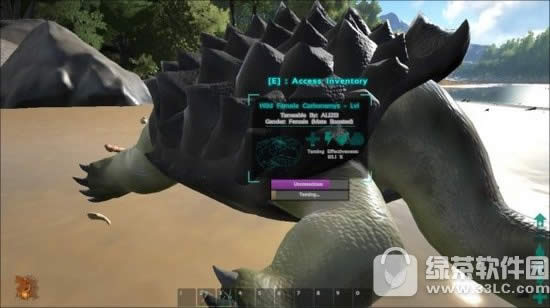 ��������������γ����ĸ��� ��������������γ���ѡ����1