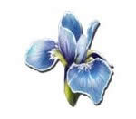 �����������ϡ�л�����ɶ�ط���?�����ɼ�?ϡ�л�����ɶ��?