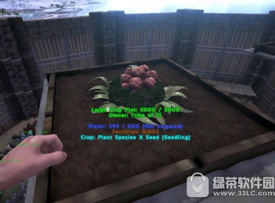 ���������������ʳ�˻������������ ʳ�˻�������ֲ�취