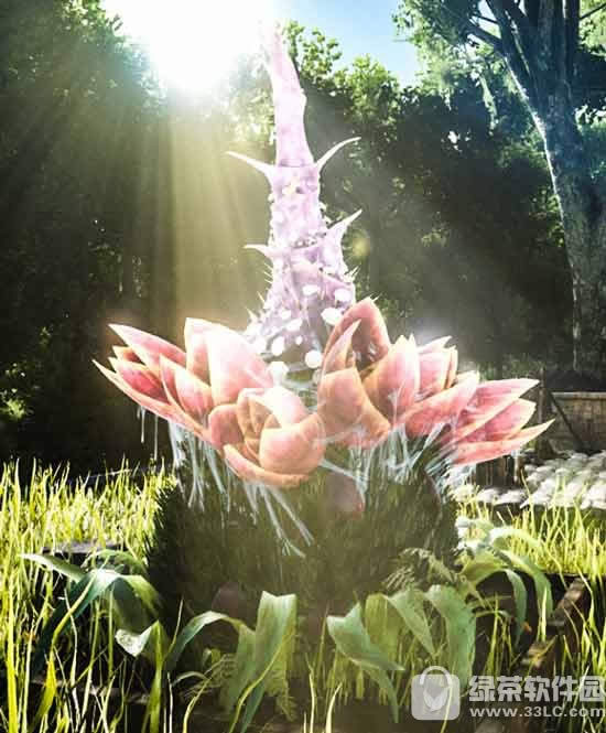 ���������������ʳ�˻�������ô��� ʳ�˻���ô��ֲ����2