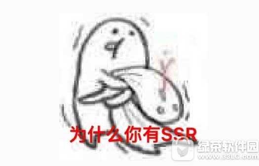 ssr��ɶ��˼ ��Ϸ���ssr��ɶ��˼