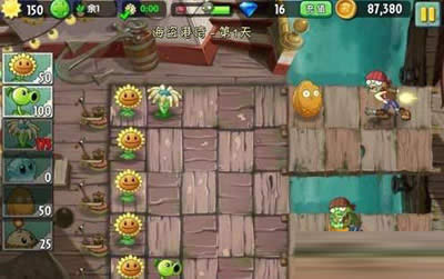 ��ֲ�������й涨