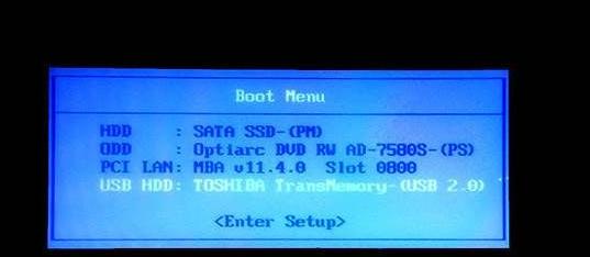 ����Ա����