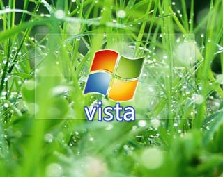 ����΢��Windows Vistaϵͳ����5����