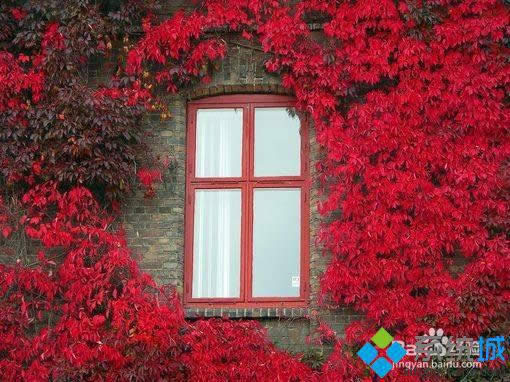 win8���Ѹ�ٵ���ͼƬ��С|win8���û�ͼ����ͼƬ��С�İ취