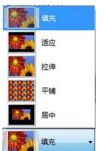 ����ѡ��