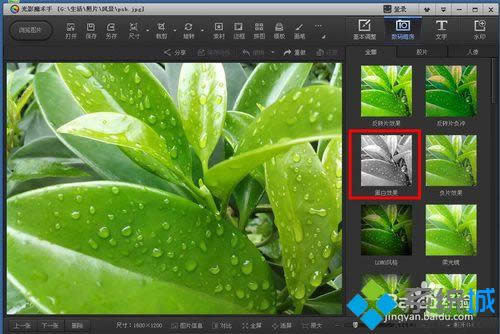 win8ϵͳ���ù�Ӱħ������������ɫͼƬ��Ϊ�ڰ�ͼƬ�İ취