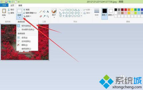 �㡰ѡ��-����ѡ��