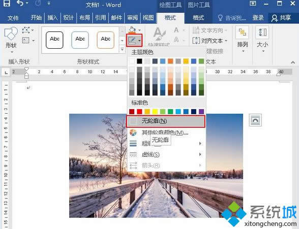 ѡ����������