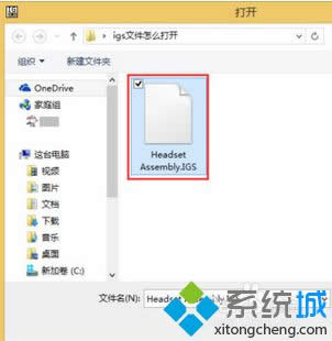 �򿪵�igs�ļ�