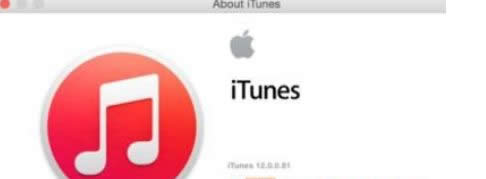 xpϵͳ��װitunes��ʾ�����İ汾��������