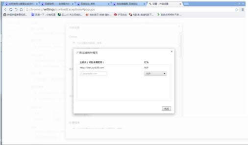 �����д�IE�������ʾ������֤��Ĵ�������