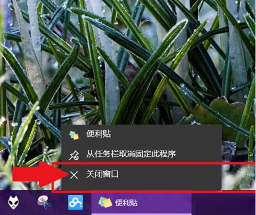 Win10��ǩ��������������δ򿪣����ð취����