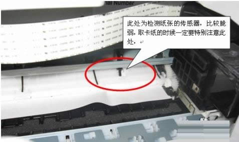 Win7ϵͳ��ӡ����ֽ�ı������Ƽ������취