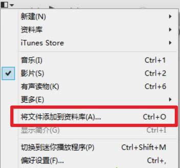 �ѵ����е���Ƶ���ӵ�iTunes���Ͽ�Ĳ�������
